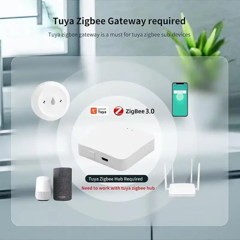 Tuya ZigBee 3.0 Detektor Keboc - Kitchen Appliances Video ulasan dan harga