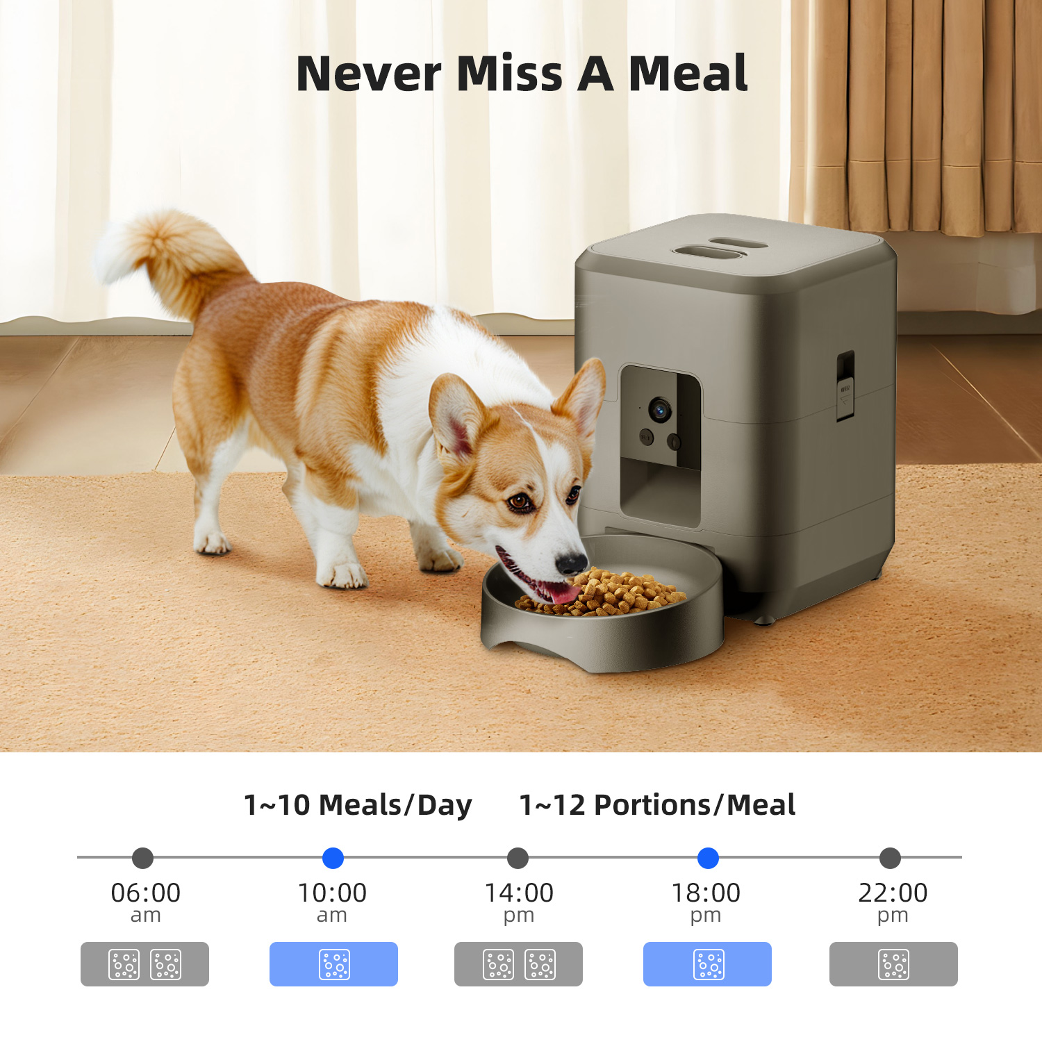 Pengumpan Hewan Peliharaan Oto - Kitchen Appliances Video ulasan dan harga